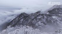 效仿泰山队，泰山队球迷组织连续18年登泰山，山顶体感温度零下