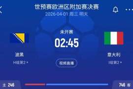 关乎世界杯席位！波黑vs意大利无门线技术，因球场未安装相关设备
